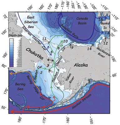 Biologically important areas II for cetaceans in U.S. and adjacent waters - Arctic region